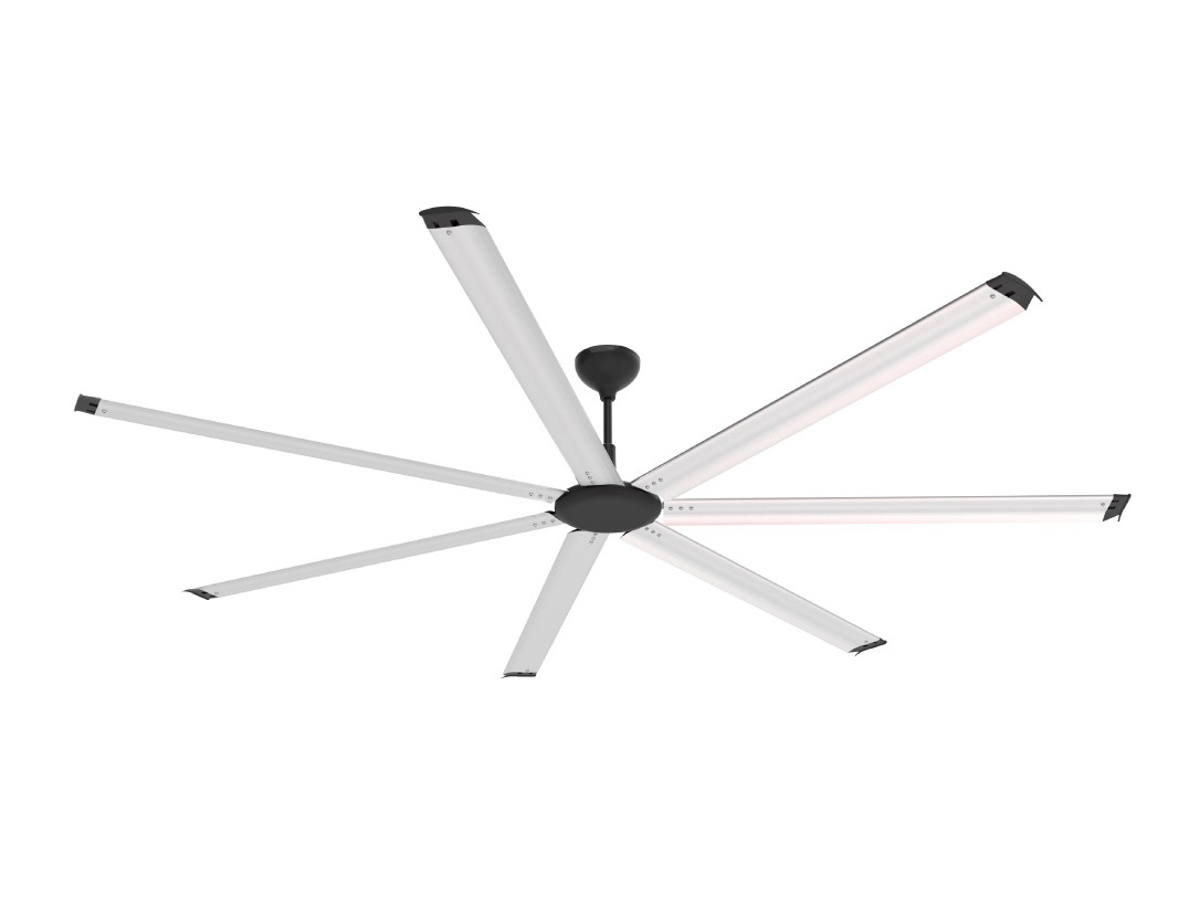 2854_img_2 2854 img 2